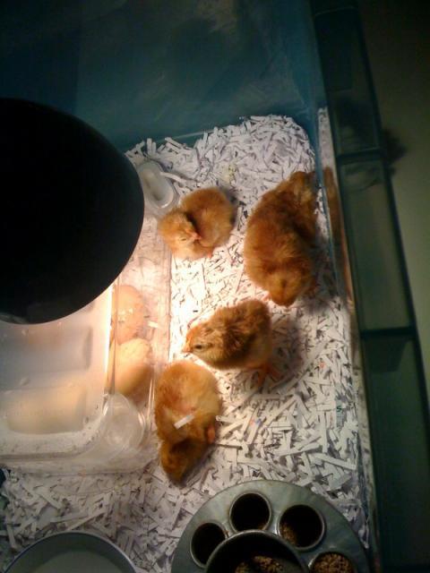 50183_photo.jpg