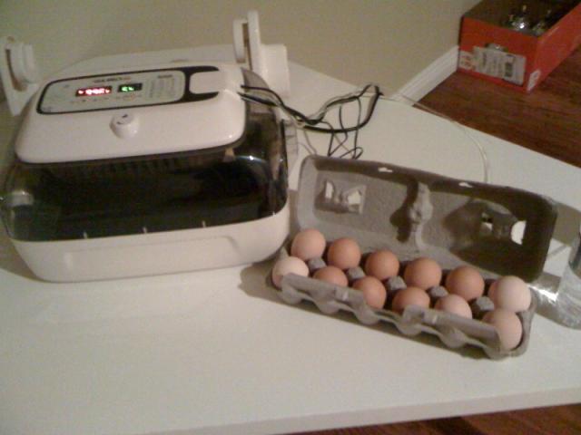 50183_photo2.jpg