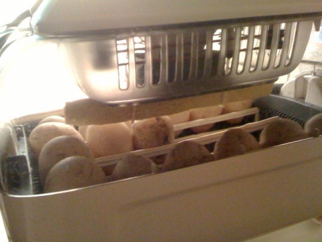 50183_photo3.jpg