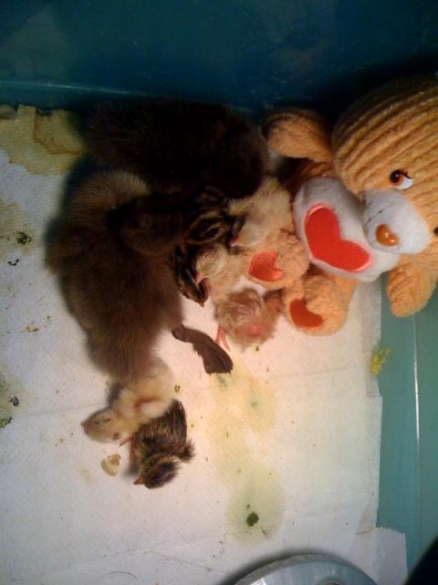 50183_photo34.jpg