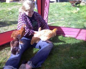 50190_arielle_chickens.jpg