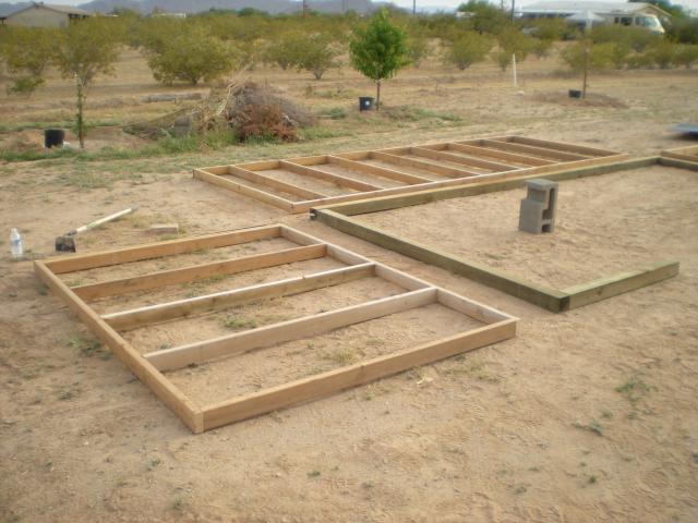 50200_chickens_028.jpg