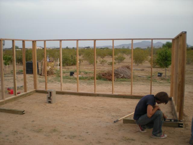 50200_chickens_030.jpg
