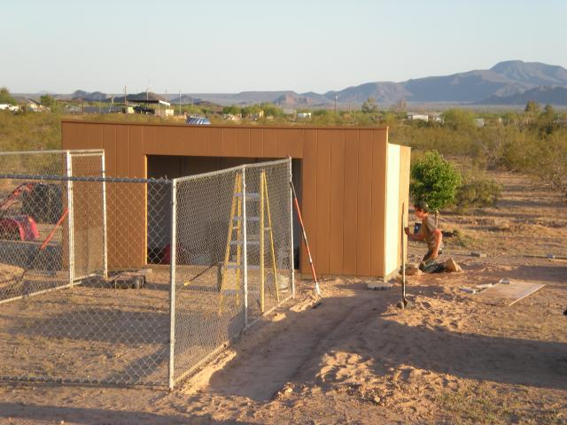 50200_chickens_034.jpg