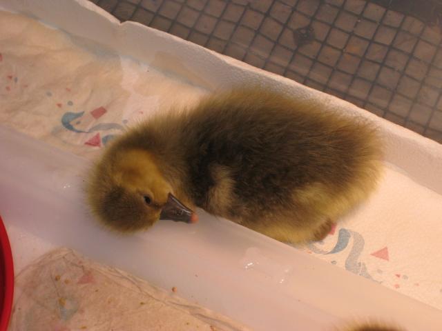 50209_img_0221.jpg