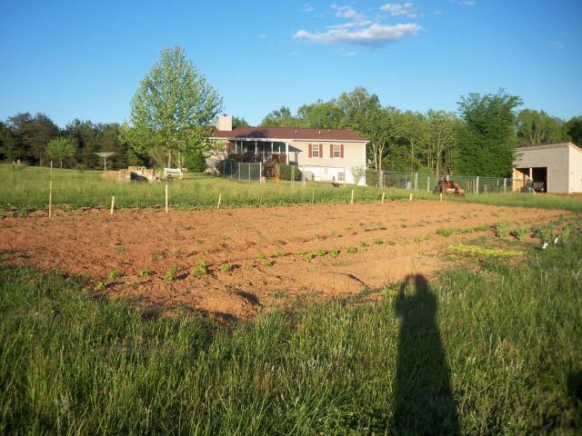 50271_kodak_035.jpg