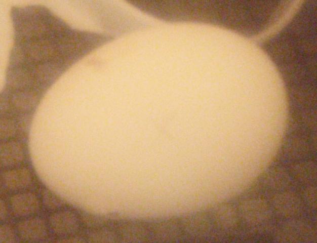 50421_p3310001_2.jpg