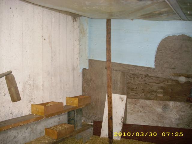 50427_dsci0012.jpg