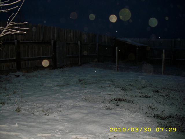 50427_dsci0029.jpg