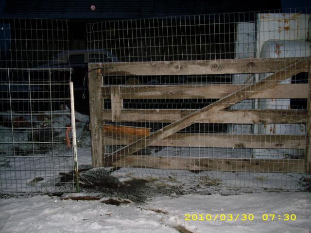 50427_dsci0032.jpg