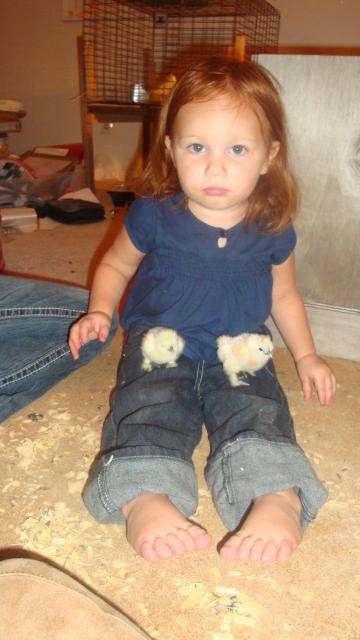 50456_lexi_with_chicks_02.jpg