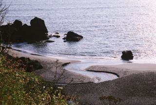 5048_copy_of_trinidadbeach.jpg