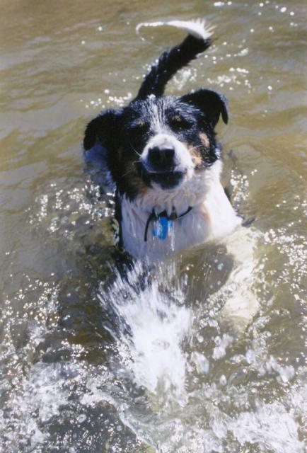 5048_sam_making_splashes.jpg