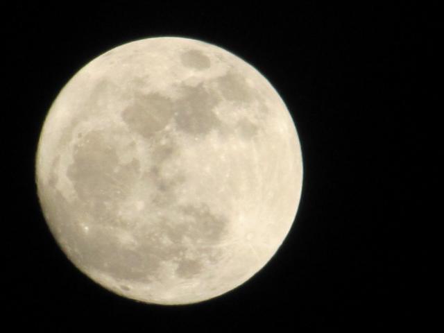 50554_03-18-11.jpg
