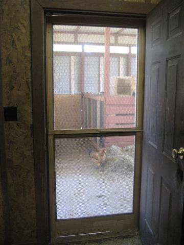 50600_inside_coop_looking_out_small.jpg