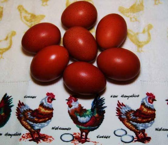 5081_marans_jan_17.jpg