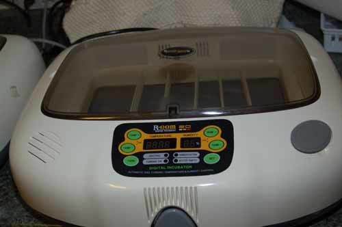 5081_r-com_20_.jpg