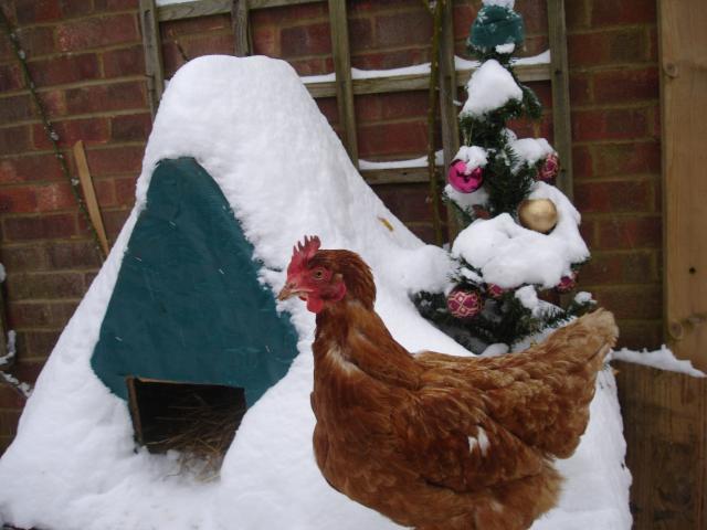 50823_014.jpg