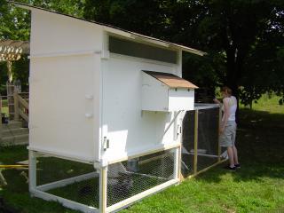 50938_chicken_and_coop_5.jpg