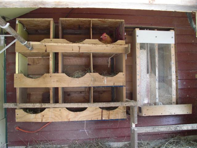 51028_cimg2930.jpg