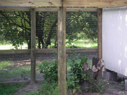 51032_chicken_coop_14.jpg