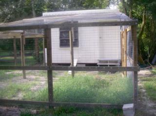 51032_chicken_coop_2.jpg