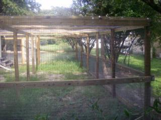 51032_chicken_coop_4.jpg