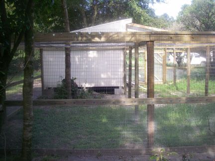 51032_chicken_coop_5.jpg