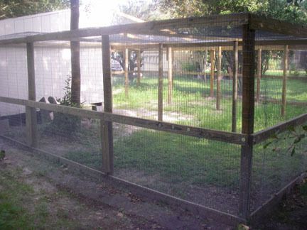 51032_chicken_coop_6.jpg