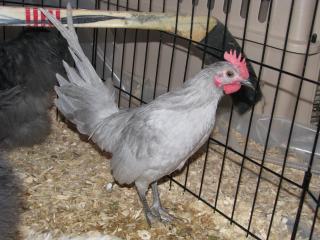 51033_img_8149.jpg