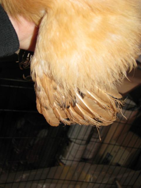 51033_img_8174.jpg
