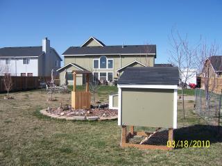 51127_coop_back.jpg