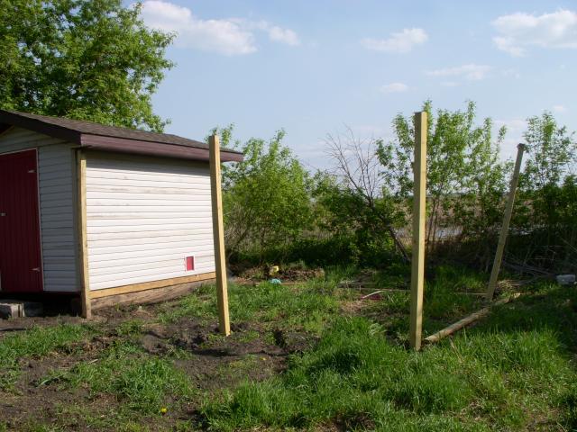 51221_002.jpg