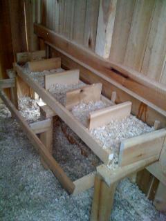 51225_inside_left_nest_box_6x6_coop.jpg