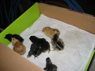 51290_img_3366.jpg