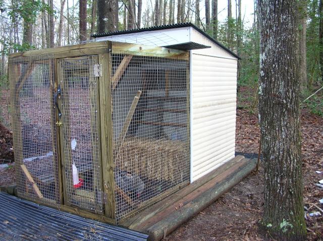 8x8 Coop Opinions BackYard Chickens