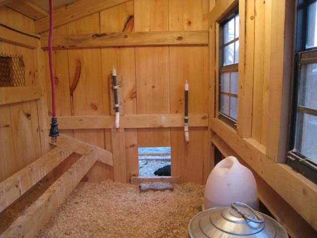 51356_inside_coop.jpg