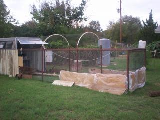 51376_100_5250.jpg