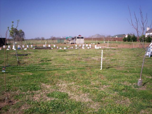 51376_100_5409.jpg