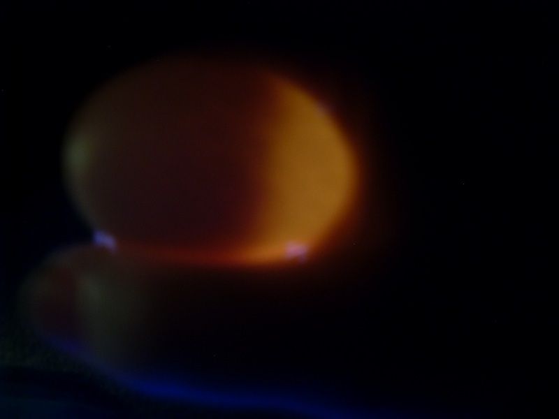 51448_candled_egg_blob.jpg