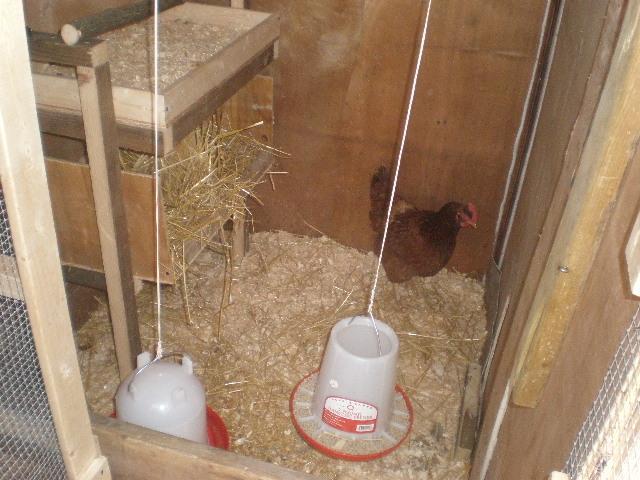 51486_2010_0321image0340.jpg