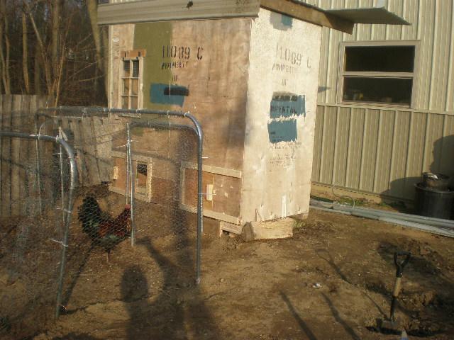51486_2010_0321image0345.jpg