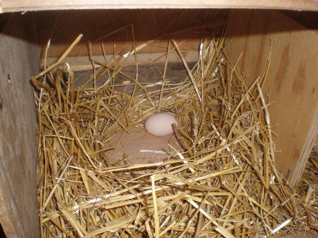 51486_2010_0323image0348.jpg