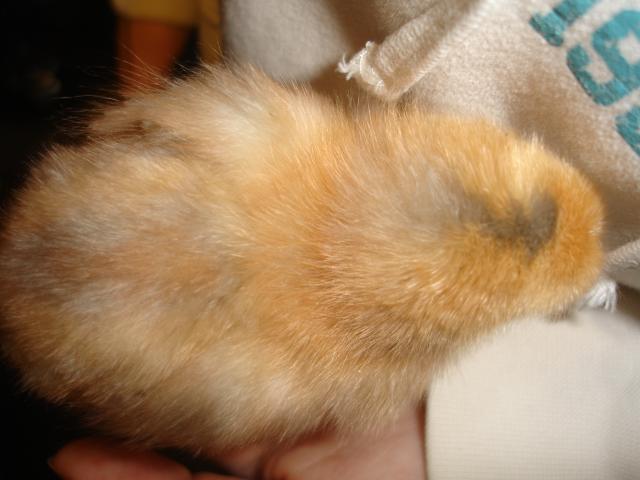 51487_dsc09452.jpg