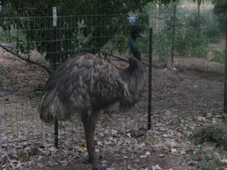 5149_img_1846.jpg