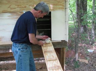 51517_chicken_coop_015.jpg