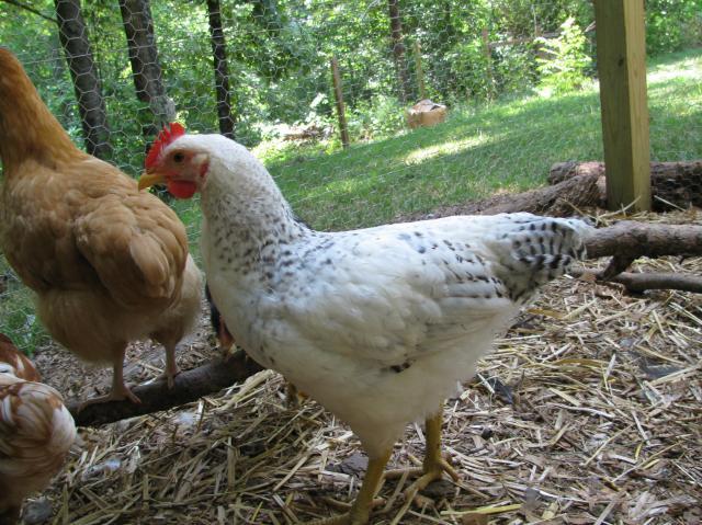 51517_june_19_026.jpg