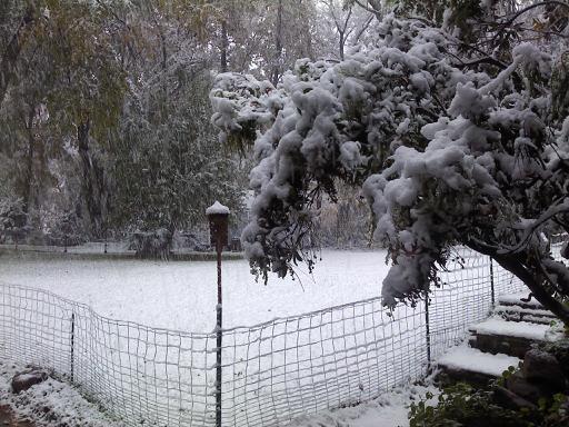 51523_october_snow.jpg
