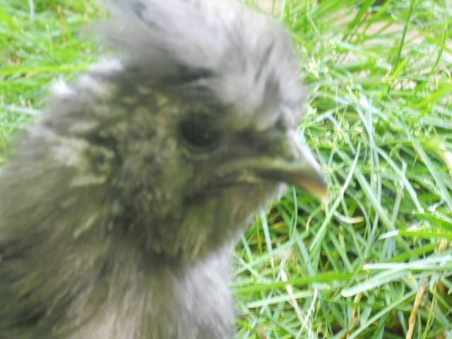 51549_023.jpg