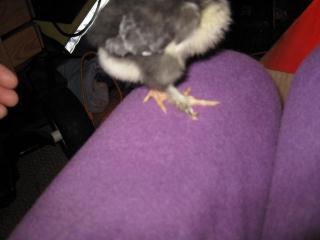 51624_img_2268.jpg